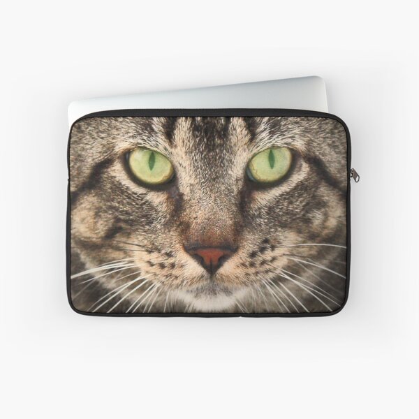 Item preview, Barn Cat designed and sold by Johnny Furlotte.