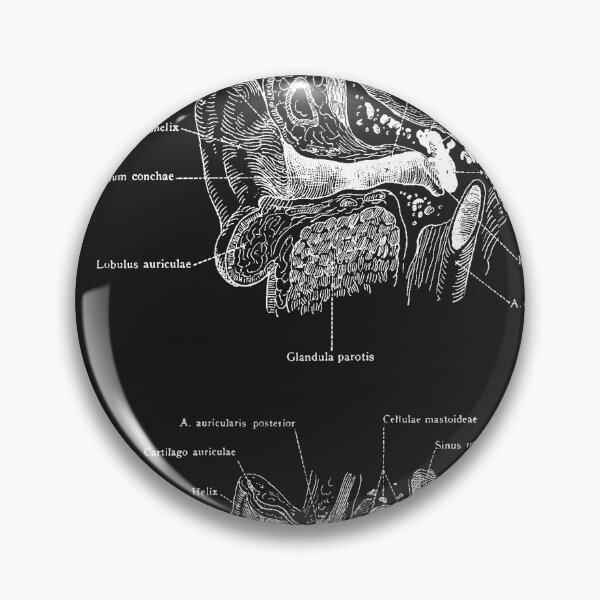 Item preview, Auditory apparatus of the ear vintage  designed and sold by Preslava Genova.