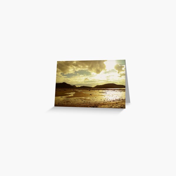 ~ before the storm ~ Greeting Card
