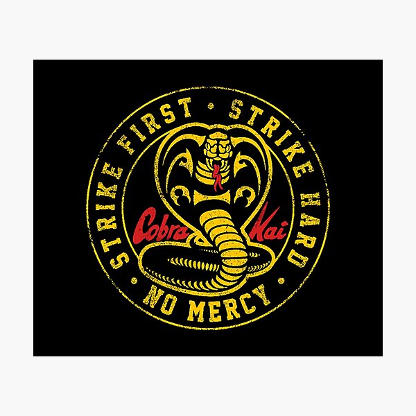 Cobra Kai Original Exclusive Design Cobra Kai Movie Cobra Kai Film