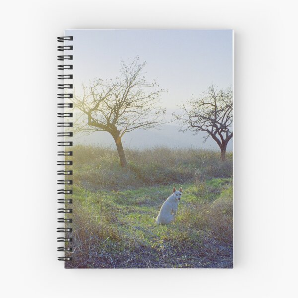 Item preview, 1999 Cane bianco al tramonto designed and sold by robertoferrero.