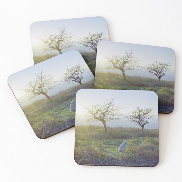 Item preview, 1999 Cane bianco al tramonto designed and sold by robertoferrero.