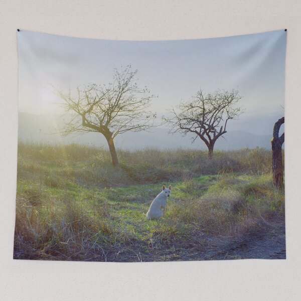 Item preview, 1999 Cane bianco al tramonto designed and sold by robertoferrero.