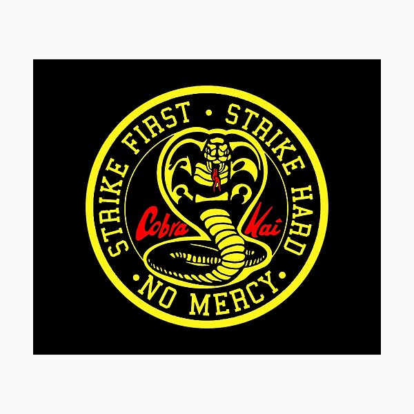 "Cobra Kai Original Exclusive Design Cobra Kai Movie Cobra Kai Film