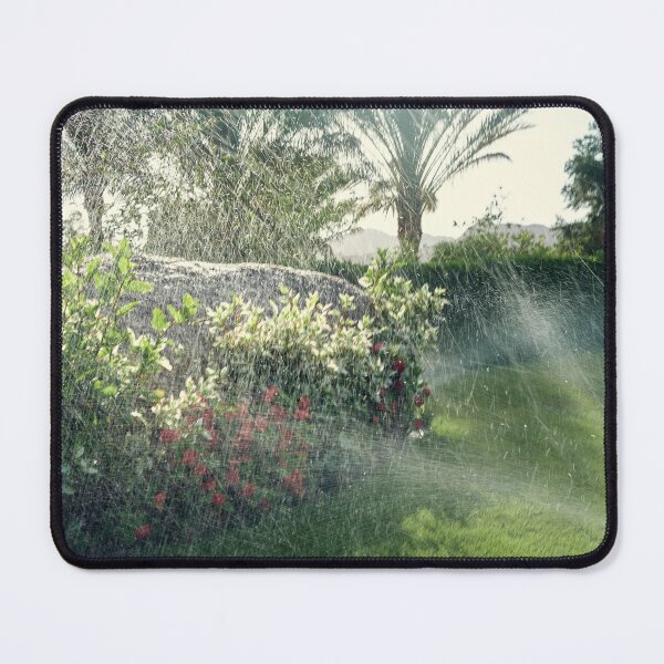 Item preview, Street photo in Dahab , South Sinai , Egypt designed and sold by RaimondKlavins.