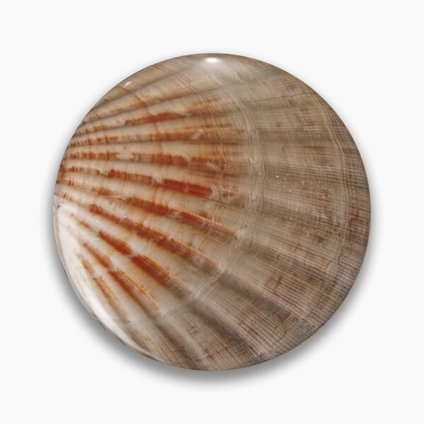 Item preview, Scallop Shell designed and sold by Stephen Frost.