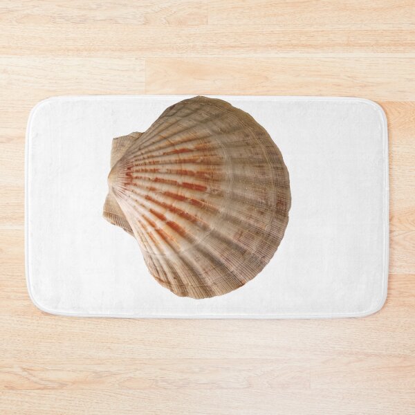 Item preview, Scallop Shell designed and sold by Stephen Frost.