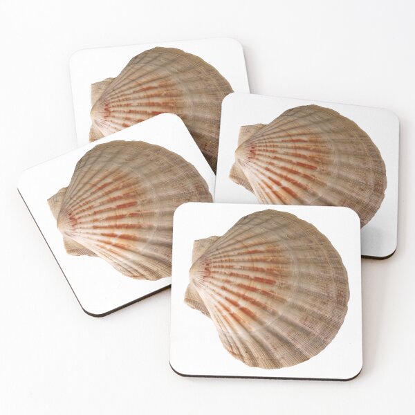 Item preview, Scallop Shell designed and sold by Stephen Frost.
