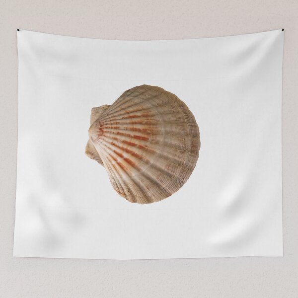 Item preview, Scallop Shell designed and sold by Stephen Frost.