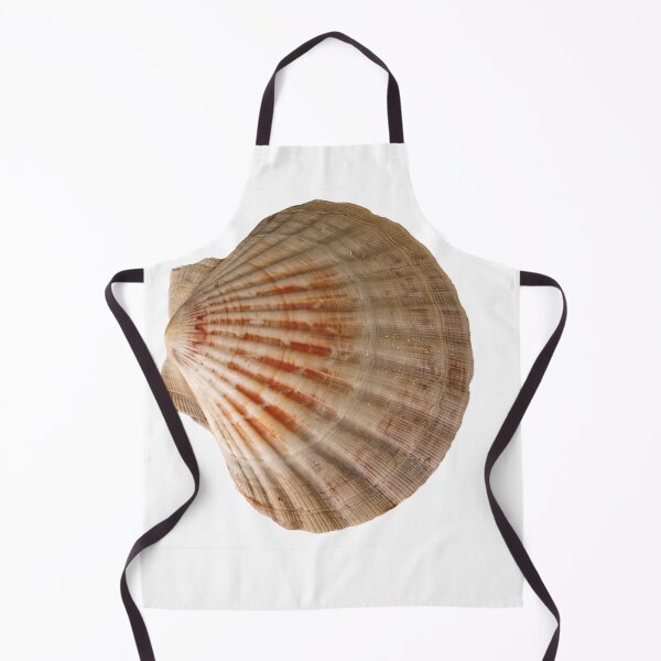Item preview, Scallop Shell designed and sold by Stephen Frost.