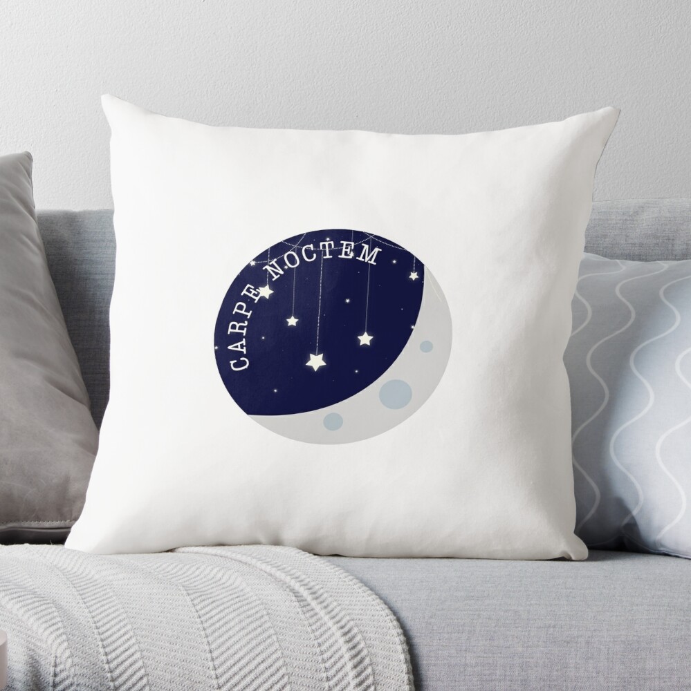 https://ih1.redbubble.net/image.4572455043.9664/throwpillow,large,1000x-bg,f8f8f8-c,0,200,1000,1000.jpg