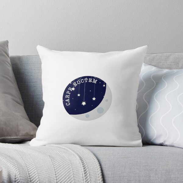 https://ih1.redbubble.net/image.4572455043.9664/throwpillow,small,600x-bg,f8f8f8-c,0,120,600,600.jpg