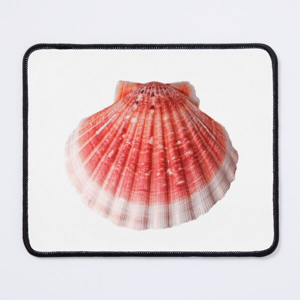 Item preview, Scallop Shell 2 designed and sold by Stephen Frost.
