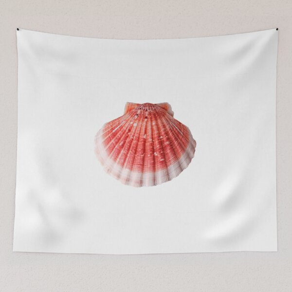 Item preview, Scallop Shell 2 designed and sold by Stephen Frost.