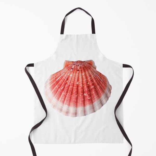 Item preview, Scallop Shell 2 designed and sold by Stephen Frost.