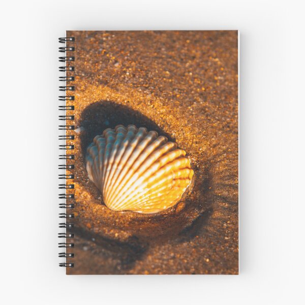 Item preview, Shwll on Sand dune at Spain coast designed and sold by RaimondKlavins.