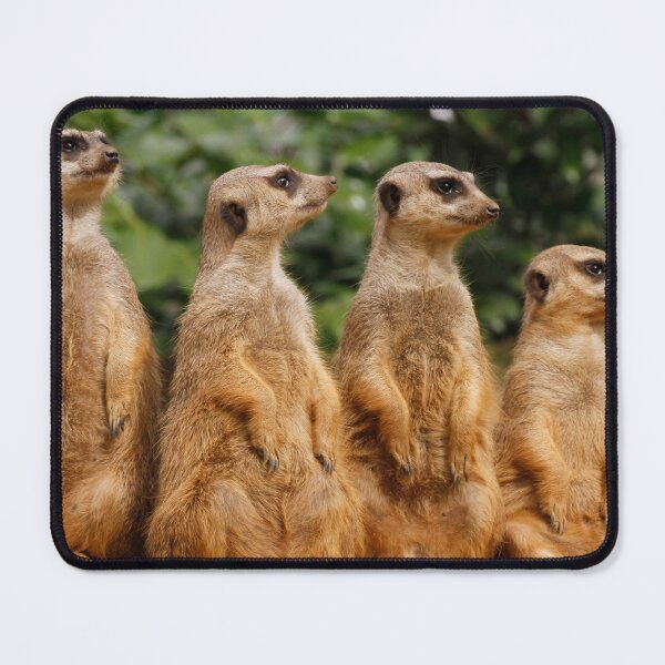 Item preview, Meerkat 018 designed and sold by JAMFoto.