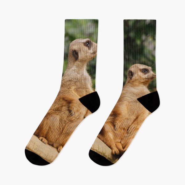 Item preview, Meerkat 018 designed and sold by JAMFoto.