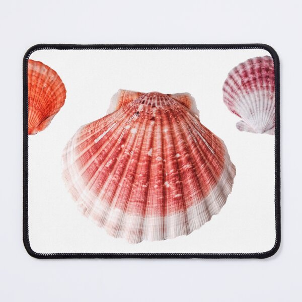 Item preview, Scallop Shell Pattern designed and sold by Stephen Frost.