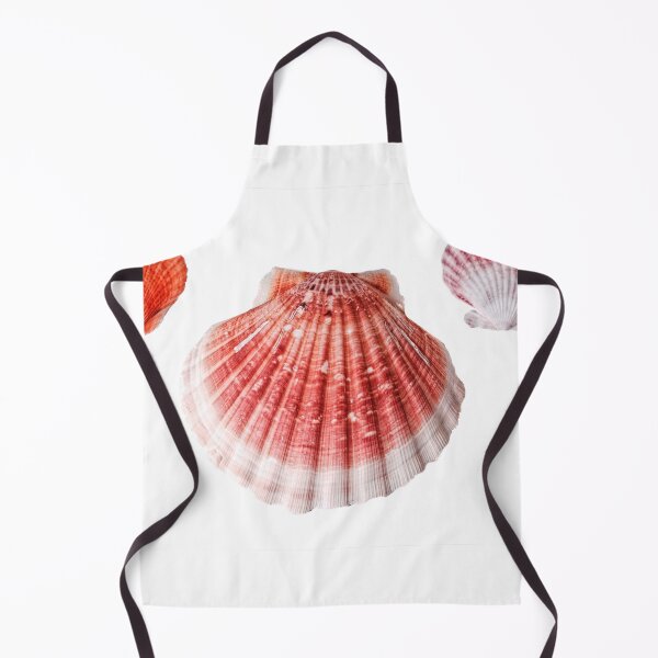 Item preview, Scallop Shell Pattern designed and sold by Stephen Frost.