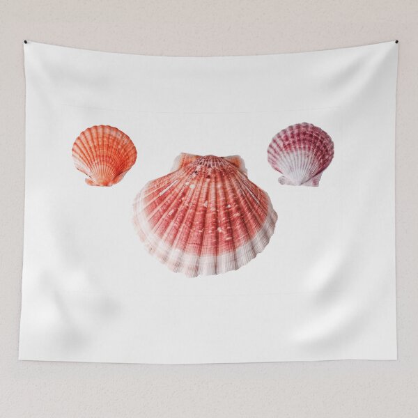 Item preview, Scallop Shell Pattern designed and sold by Stephen Frost.