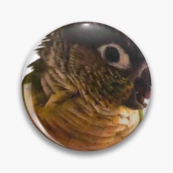 Item preview, Green Cheek Conure design | Conure | Small Parrot | Parakeet | Parrot lover designed and sold by TatianaLG.
