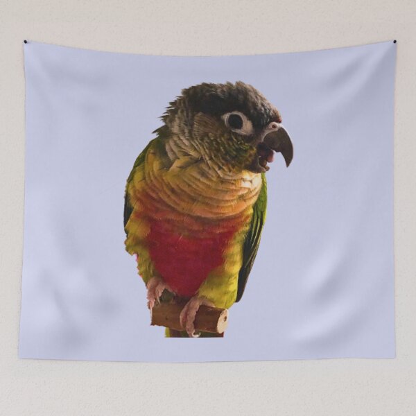 Item preview, Green Cheek Conure design | Conure | Small Parrot | Parakeet | Parrot lover designed and sold by TatianaLG.