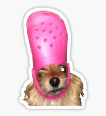 Croc Dog Sticker