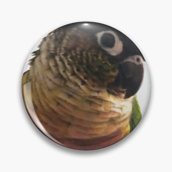 Item preview, Green Cheek Conure design | Conure | Small Parrot | Parakeet | Parrot lover designed and sold by TatianaLG.