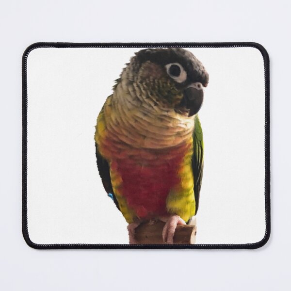 Item preview, Green Cheek Conure design | Conure | Small Parrot | Parakeet | Parrot lover designed and sold by TatianaLG.