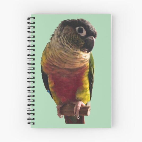 Item preview, Green Cheek Conure design | Conure | Small Parrot | Parakeet | Parrot lover designed and sold by TatianaLG.