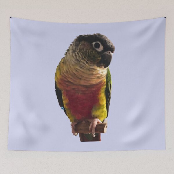 Item preview, Green Cheek Conure design | Conure | Small Parrot | Parakeet | Parrot lover designed and sold by TatianaLG.