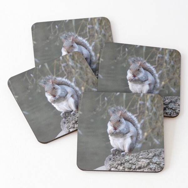 Item preview, Grey Squirrel with lunch designed and sold by TwistedClassics.