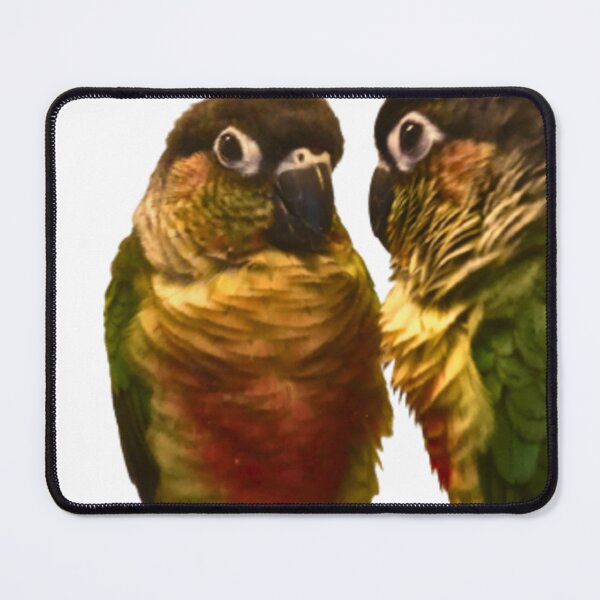 Item preview, Green Cheek Conure design | Conure | Small Parrot | Parakeet | Parrot lover designed and sold by TatianaLG.