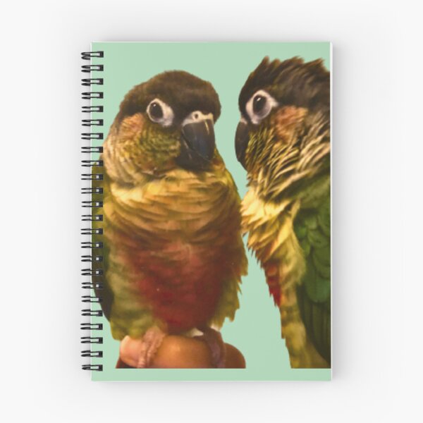 Item preview, Green Cheek Conure design | Conure | Small Parrot | Parakeet | Parrot lover designed and sold by TatianaLG.