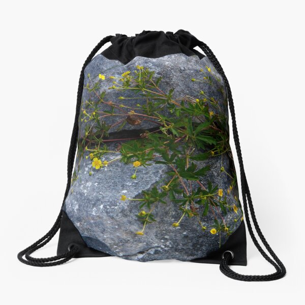 Tormentil, Dun Aengus, Inishmore, Aran Islands Drawstring Bag