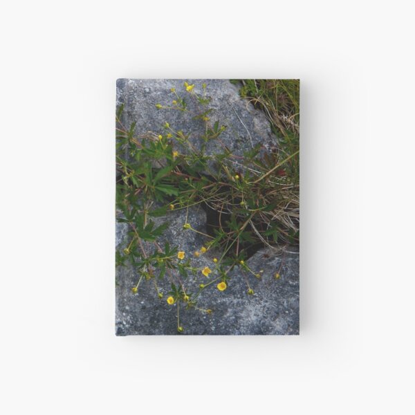 Tormentil, Dun Aengus, Inishmore, Aran Islands Hardcover Journal