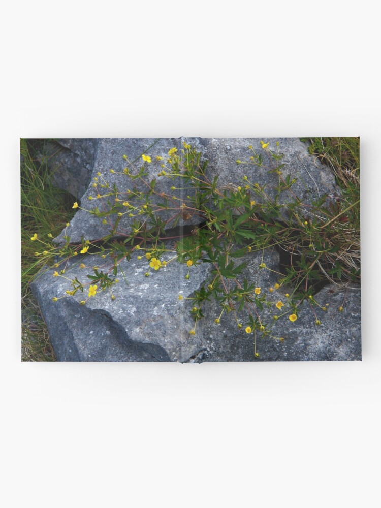 Alternate view of Tormentil, Dun Aengus, Inishmore, Aran Islands Hardcover Journal