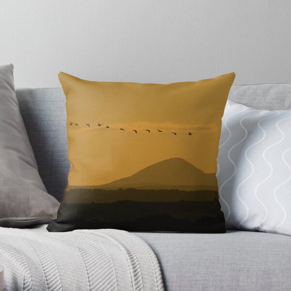 Geese over Derryveagh mountains at Twilight Throw Pillow