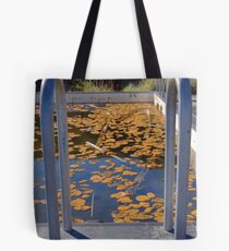 Abandoned Pool - Morisset Asylum NSW Tote Bag