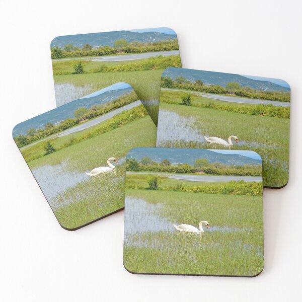 Item preview, Swan in Italian Wetland designed and sold by jojobob.