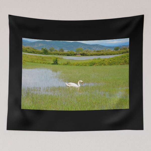 Item preview, Swan in Italian Wetland designed and sold by jojobob.