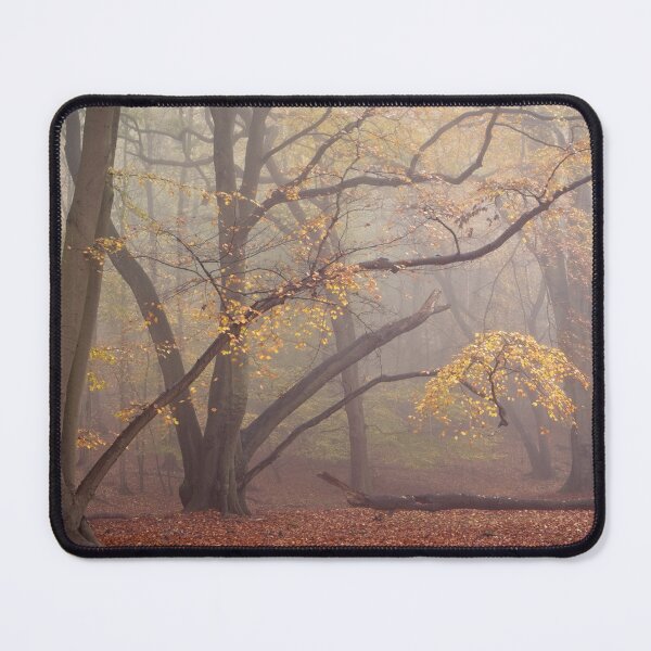 Item preview, Autumn Beech Trees in the Mist designed and sold by AnitaLynne.