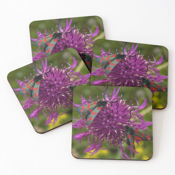 Item preview, Greater Knapweed with "6-spot Burnet" Moths designed and sold by George Row.