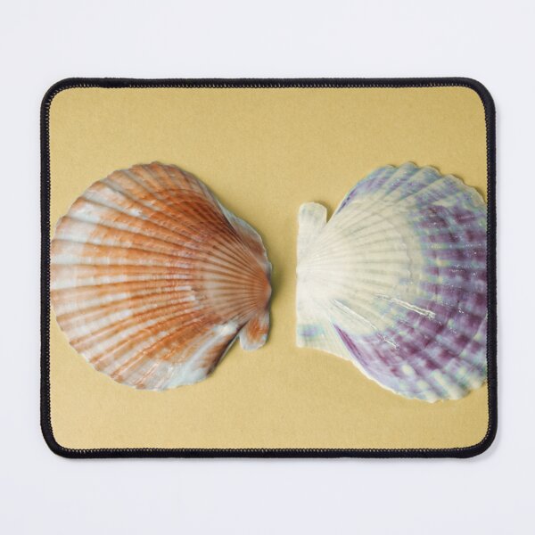 Item preview, Scallop Shell on Sand Pattern designed and sold by Stephen Frost.