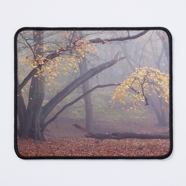 Item preview,  Autumn Beech Trees in the Mist (V2) designed and sold by AnitaLynne.