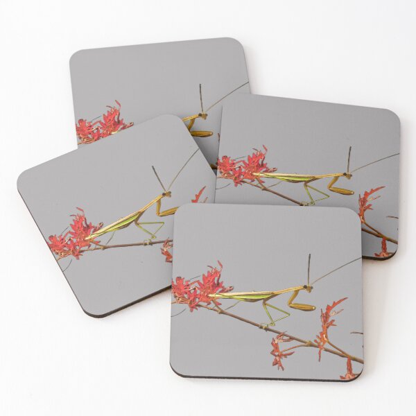 Item preview, Mantis Branch designed and sold by RussellsArtMart.