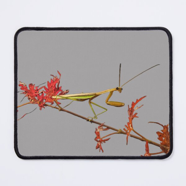 Item preview, Mantis Branch designed and sold by RussellsArtMart.