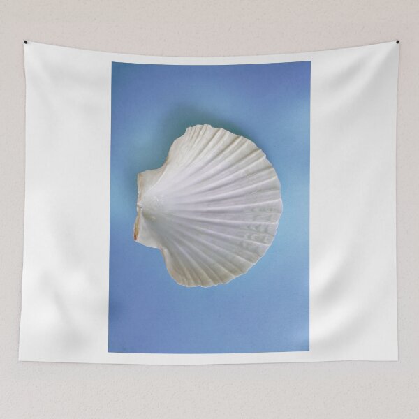 Item preview, White Scallop Shell on Sea Blue designed and sold by Stephen Frost.