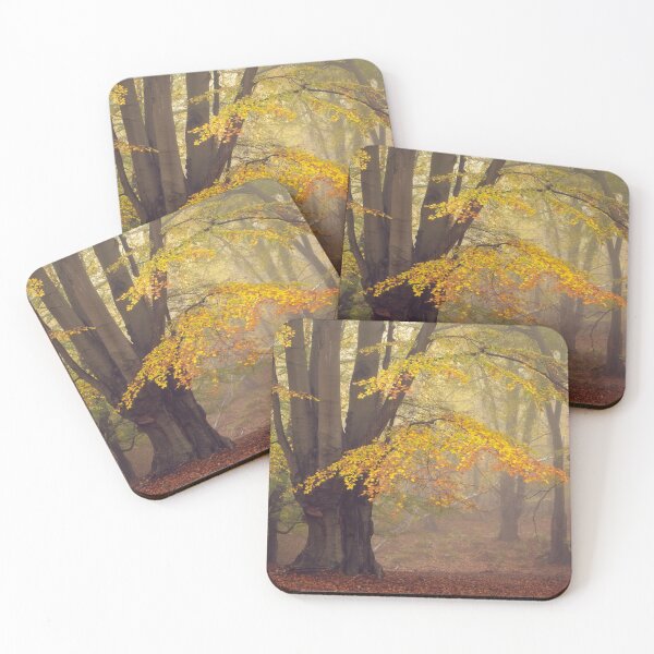 Item preview, Golden Leaves on Beech Tree in Autumn designed and sold by AnitaLynne.
